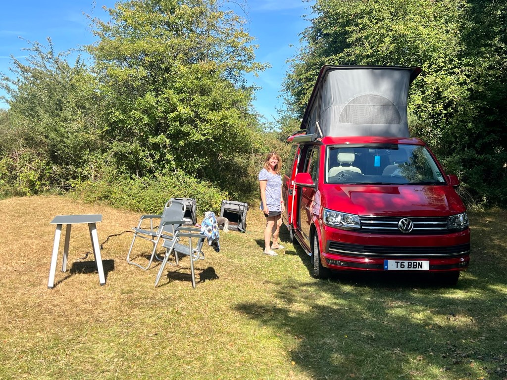 VW camper van parked in the New Forest